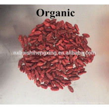 Ningxia goji berry dried fruit Ningxia gouqi Berries goji orgainc price